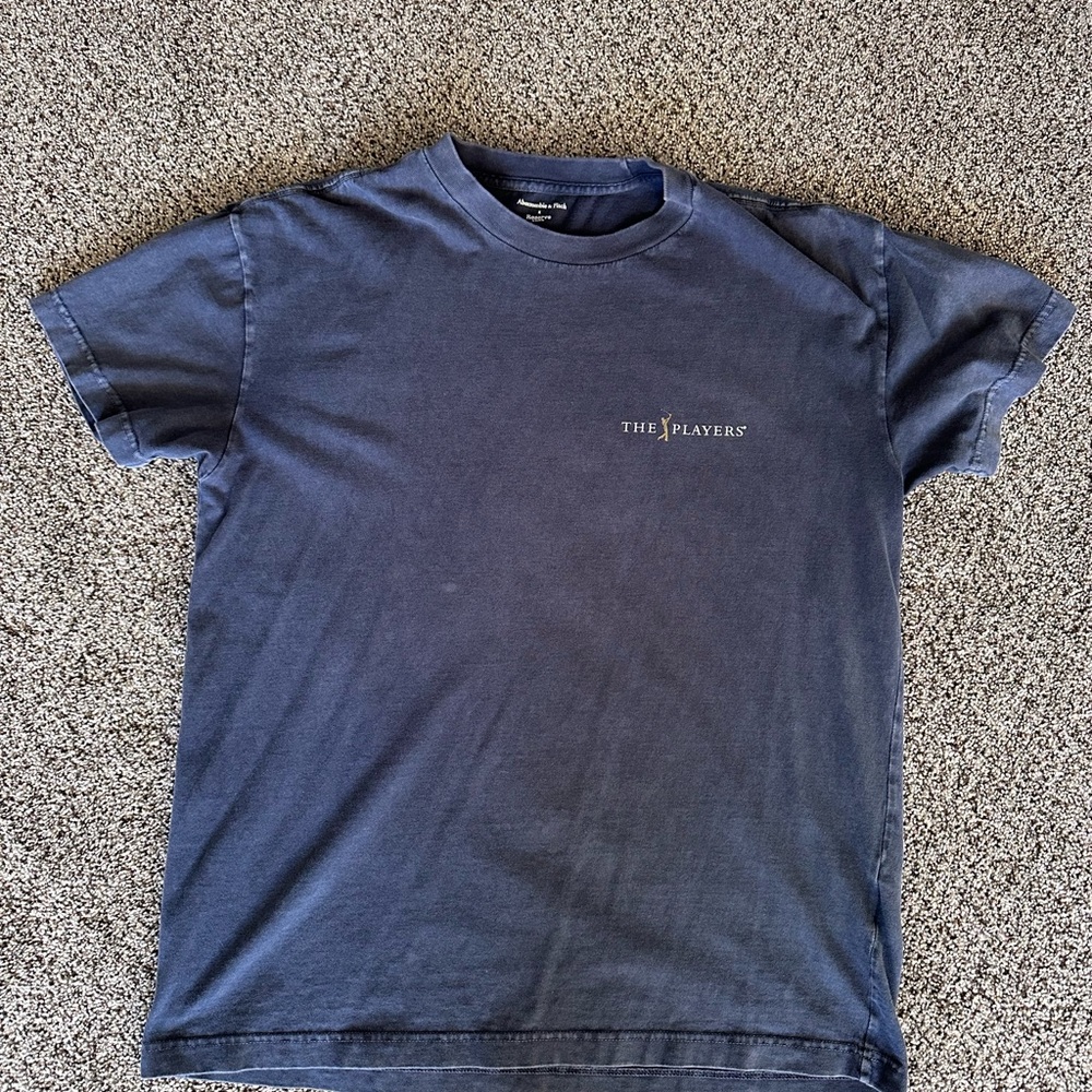 Abercrombie Blue Men's Golf Tee